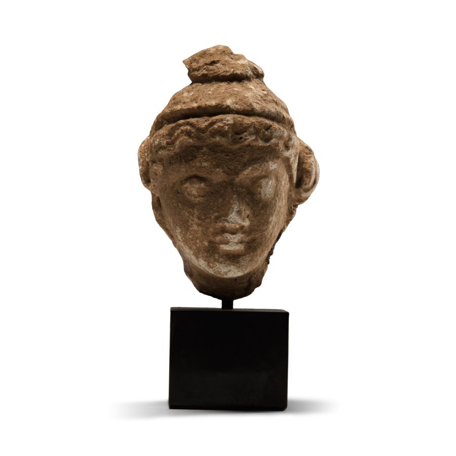 Gandharan Terracotta Head