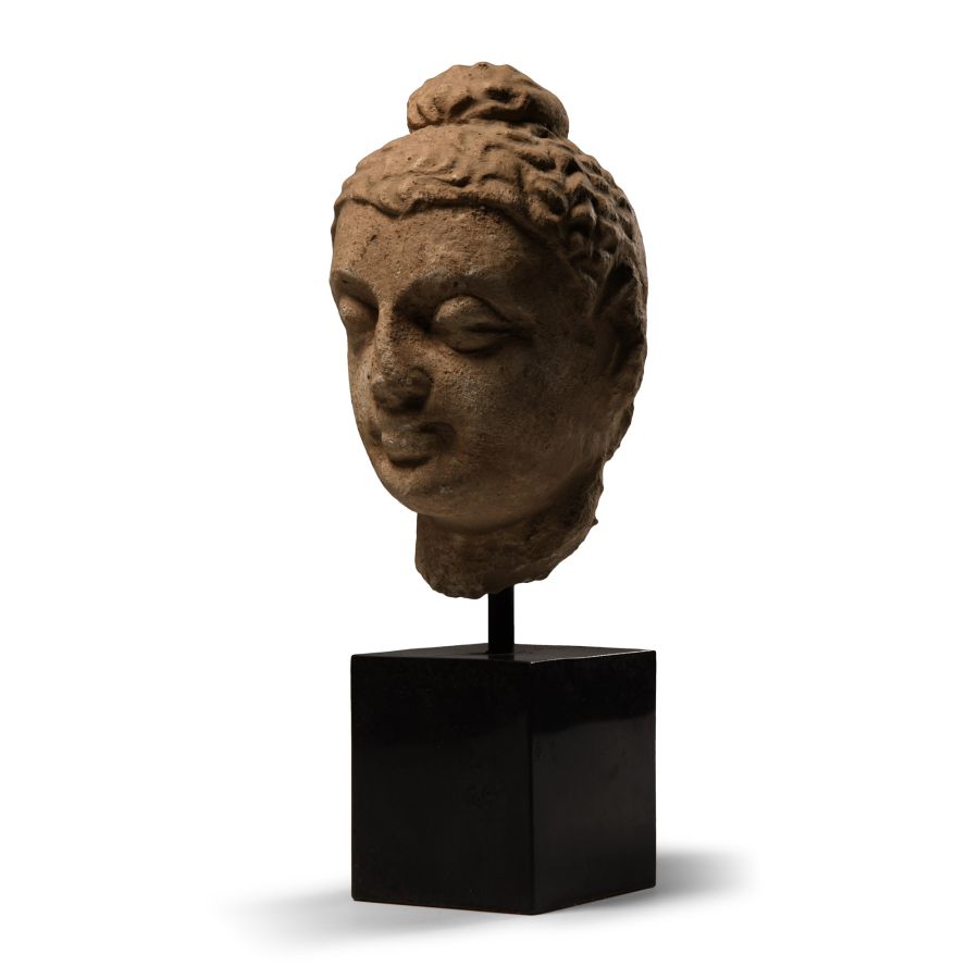 Gandharan Terracotta Head
