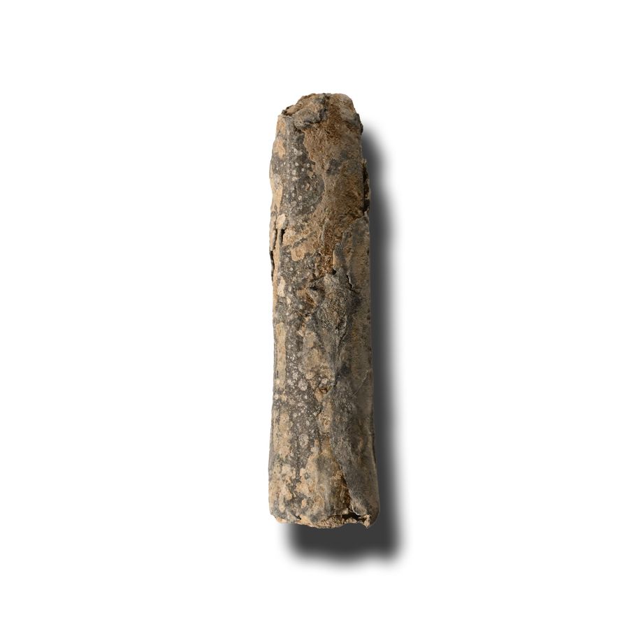 Western Asiatic Aramaic Lead Scroll with Magical Text
