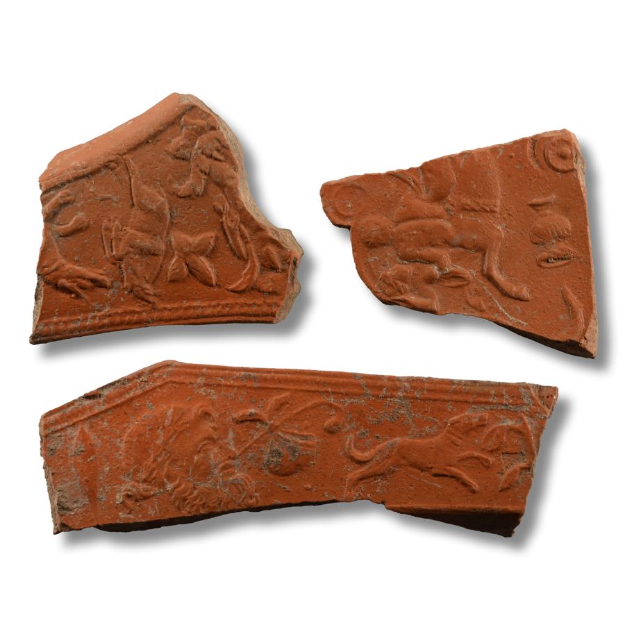 Roman Redware Fragment Collection