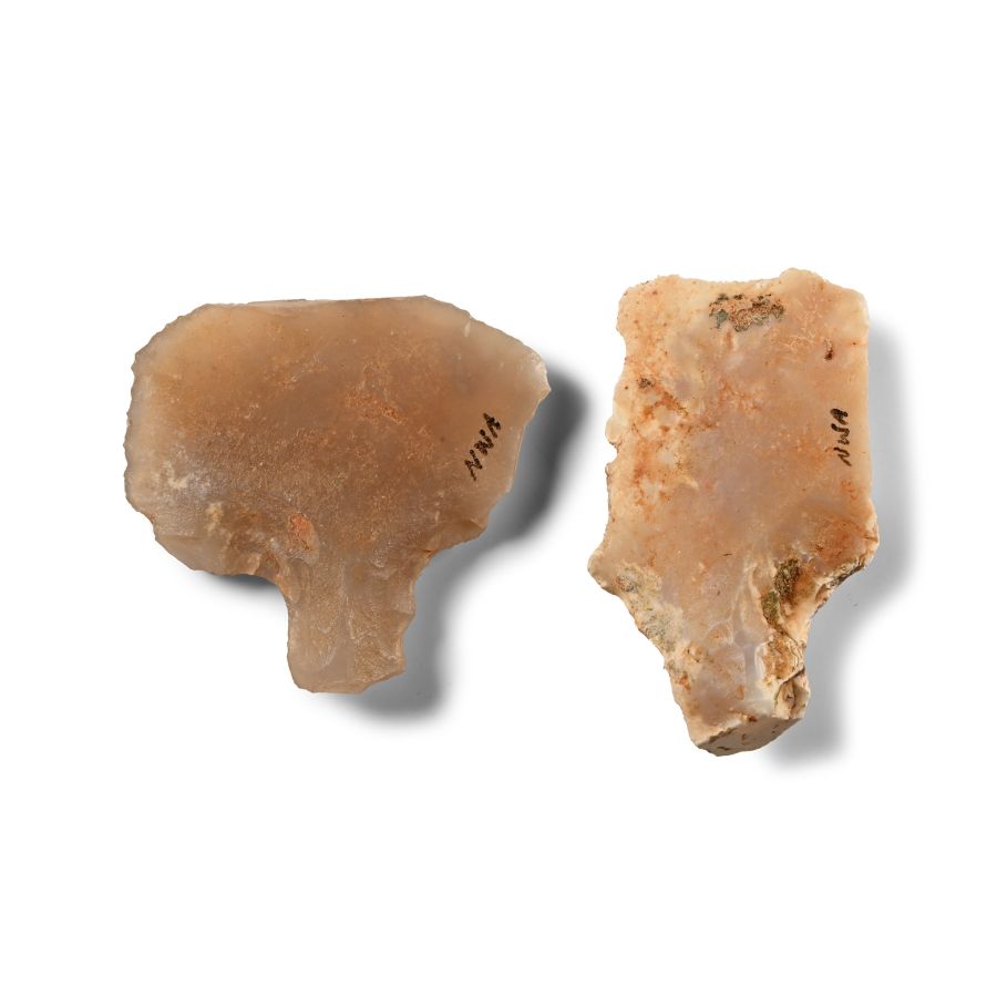 Stone Age Aterian Tanged Tool Group