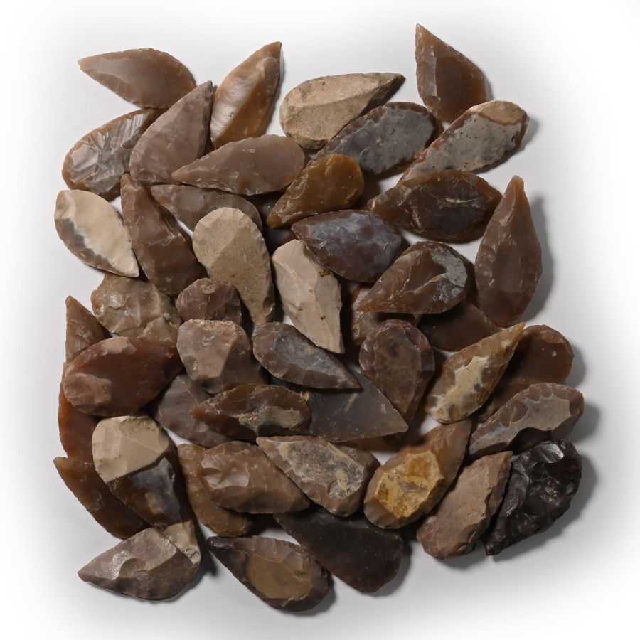 Stone Age Large Leaf-Shaped Arrowhead Collection