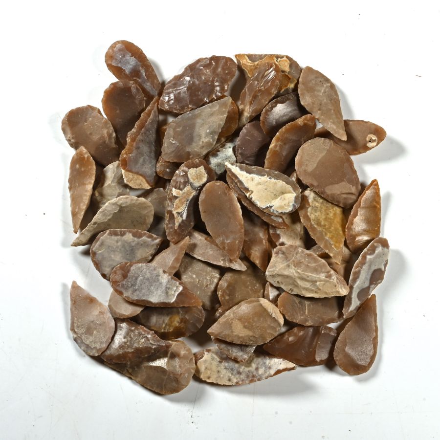 Stone Age Medium Leaf-Shaped Arrowhead Collection