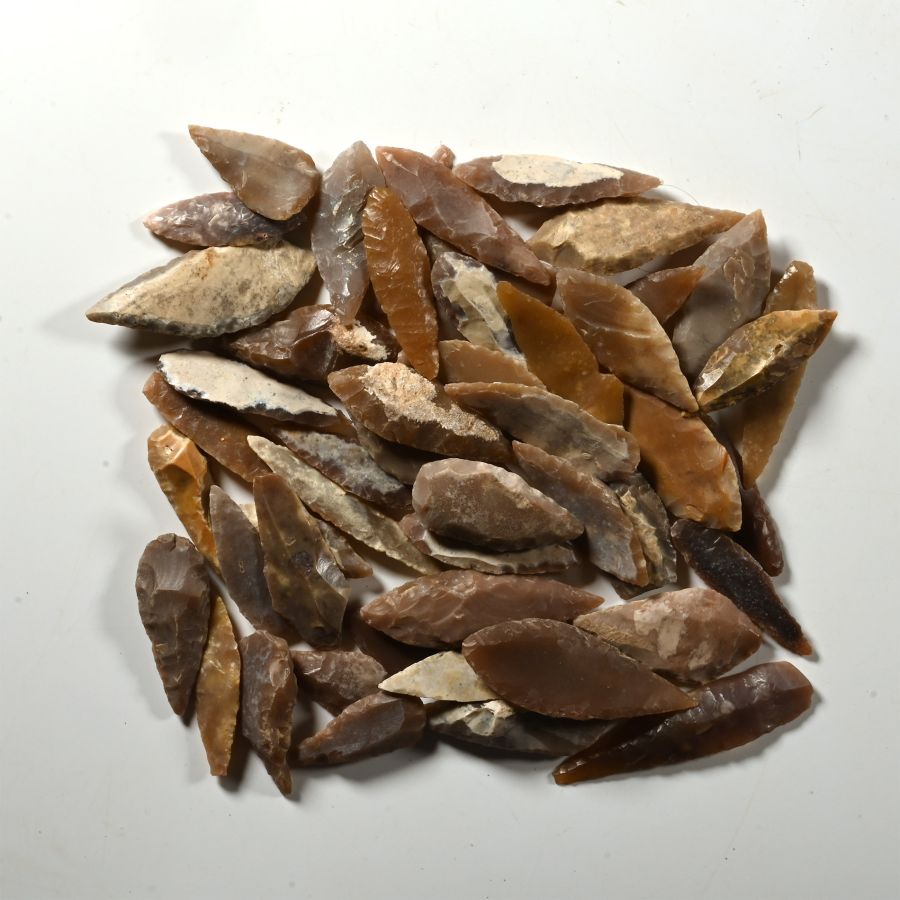 Stone Age Angular and Other Arrowhead Collection