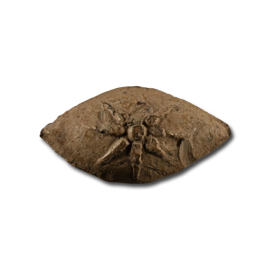 Greek Macedonian Lead Sling Shot