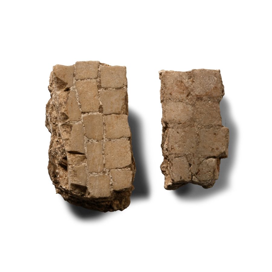 Roman Floor Mosaic Sections