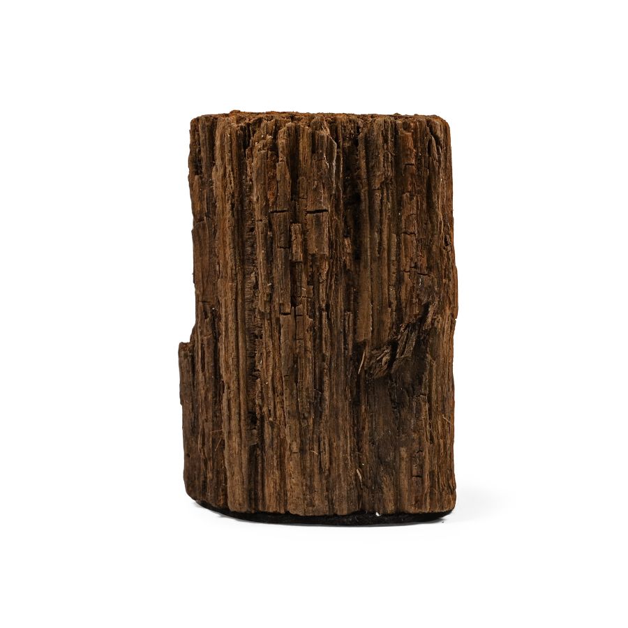 Iron Age Celtic Period Bog Oak Section