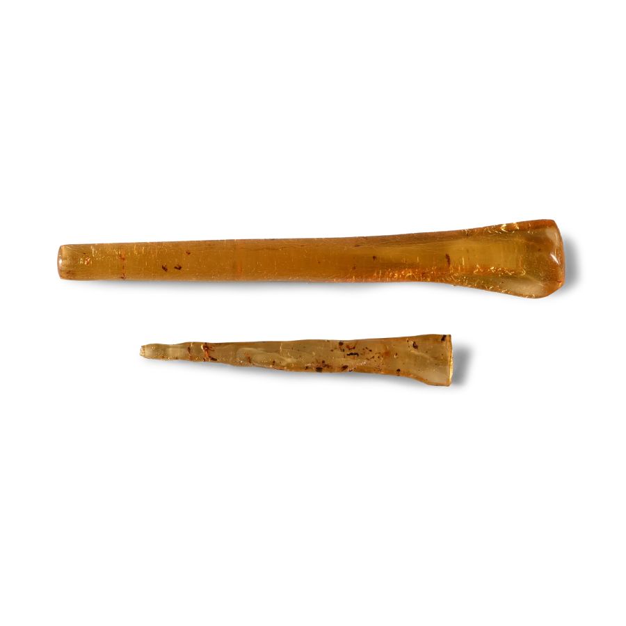Insects in Copal Pair