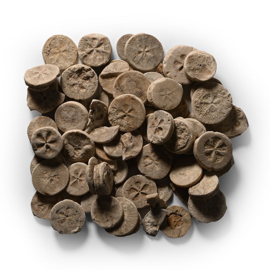 Egyptian Limestone 'Floral' Inlay Group
