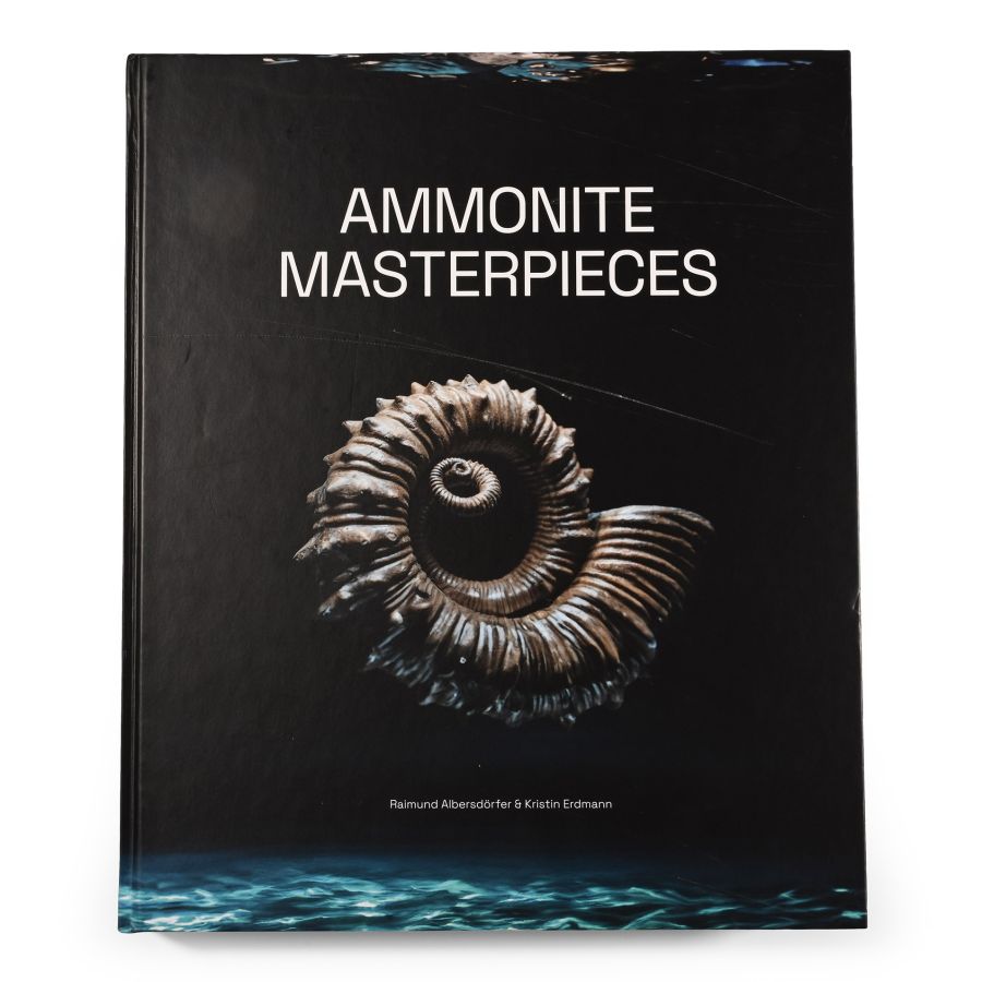 Ammonite Masterpieces