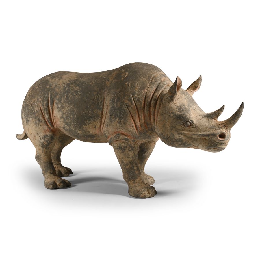 Chinese Tang Terracotta Rhinoceros