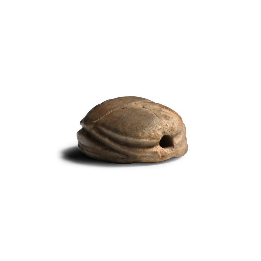 Phoenician Stone Scarab with Inscription