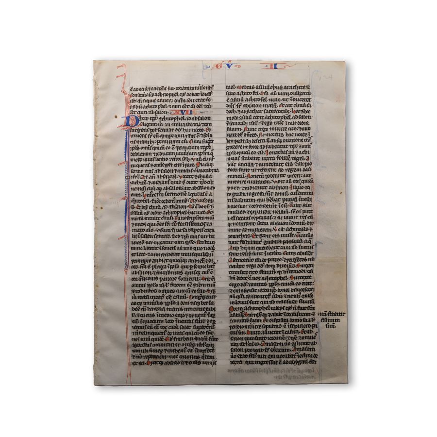Medieval Vellum Bible Manuscript Page