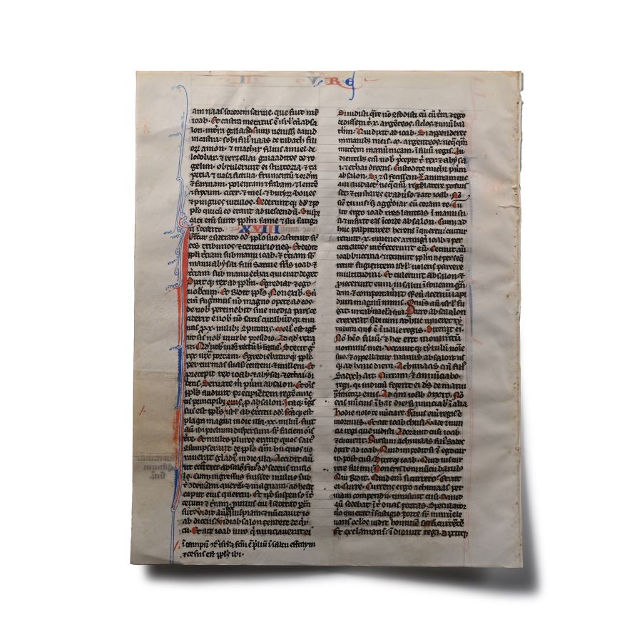 Medieval Vellum Bible Manuscript Page