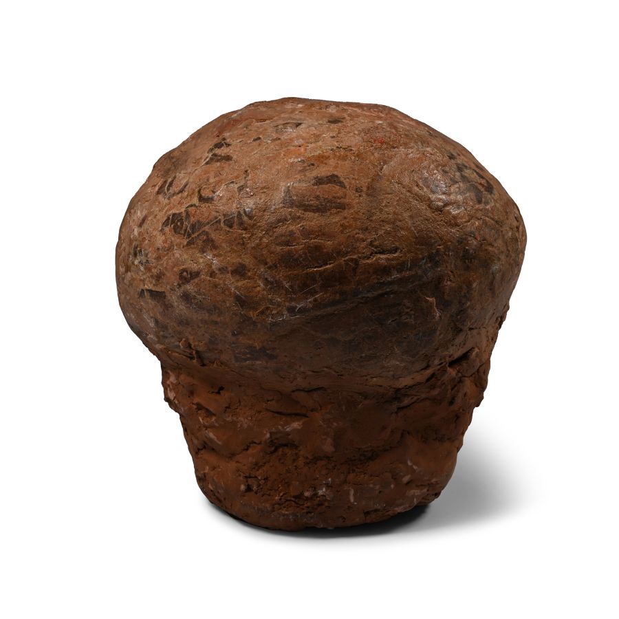 Hadrosaur Dinosaur Egg