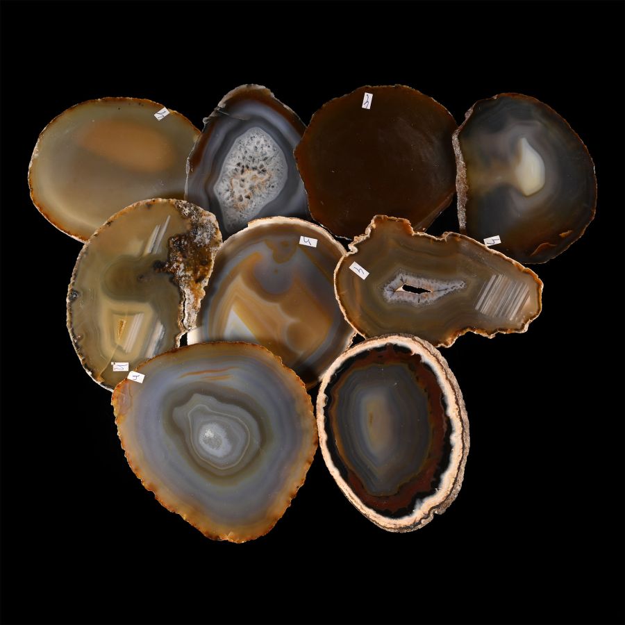 Cut and Polished Agate Geode Slice Collection [9]