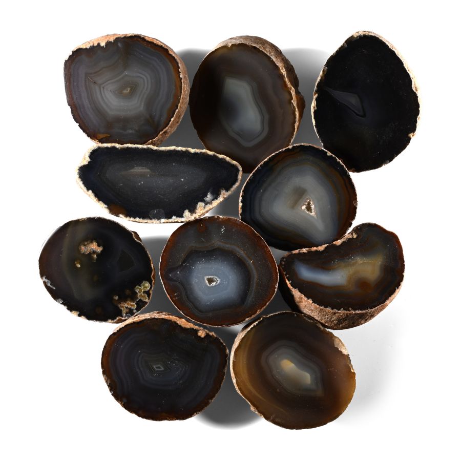Cut and Polished Agate Geode Half Collection [10]