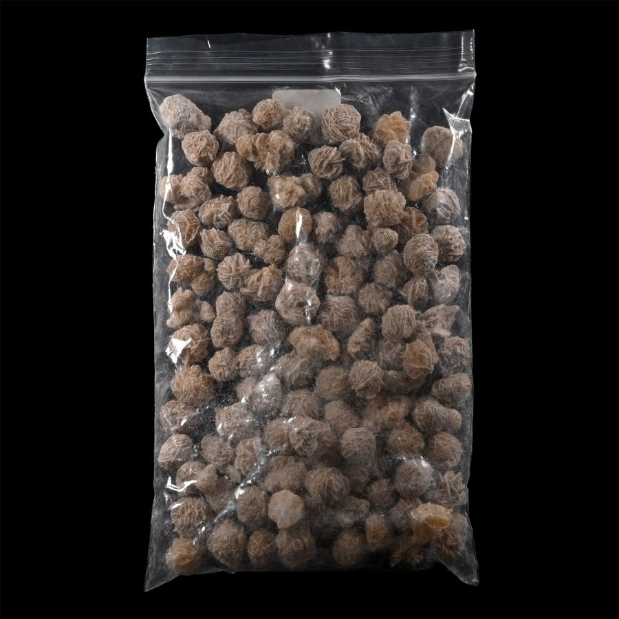 Desert Rose Gypsum Specimen Group [100]