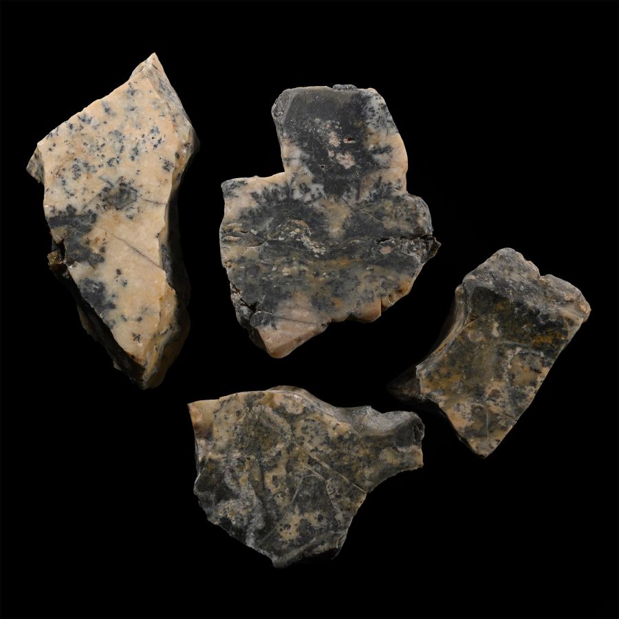Cut and Polished Dendritic Agate Section Group [4]