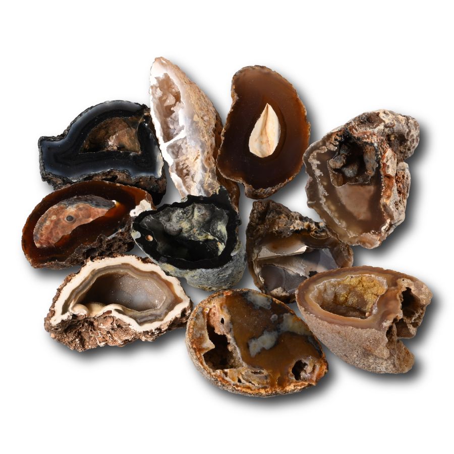 Cut and Polished Agate Crystal Geode Half Collection [10]