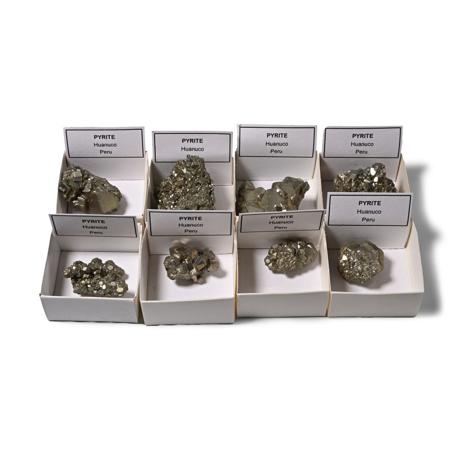 Boxed Pyrite Crystal Mineral Specimen Collection [8]
