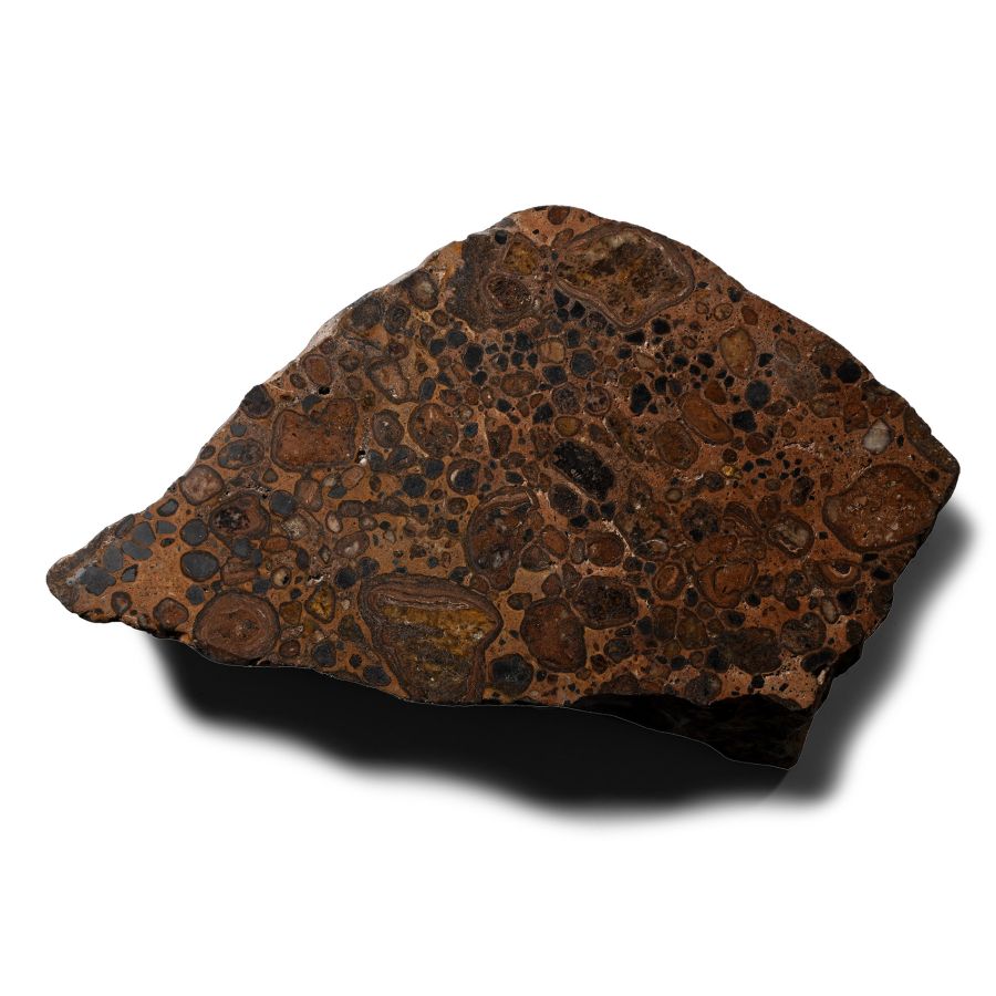 Large 'Alien' Pudding Stone Display Specimen