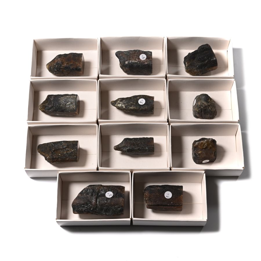 Cut and Polished Chiastolite Mineral Specimen Group [11]