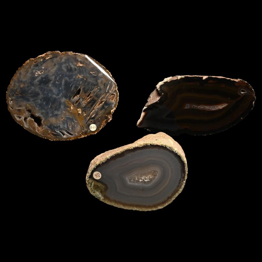 Large Cut and Polished Agate Crystal Geode Half Collection [3]