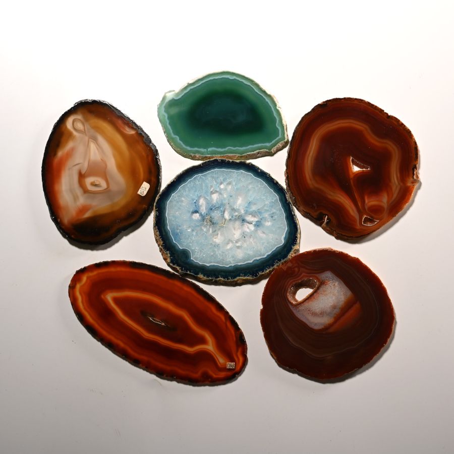 Cut and Polished Agate Slice Collection [6]