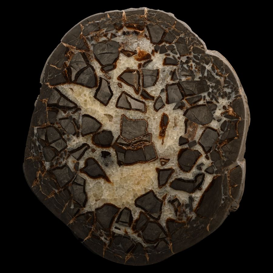 Very Large Cut and Polished Septarian 'Alien Egg' Crystal Geode Half