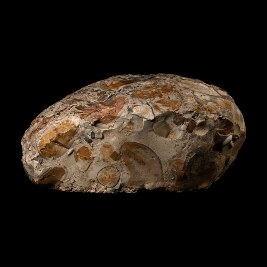 'The Great Horkesley' Late Iron Age Celtic to Early Roman Puddingstone Quern