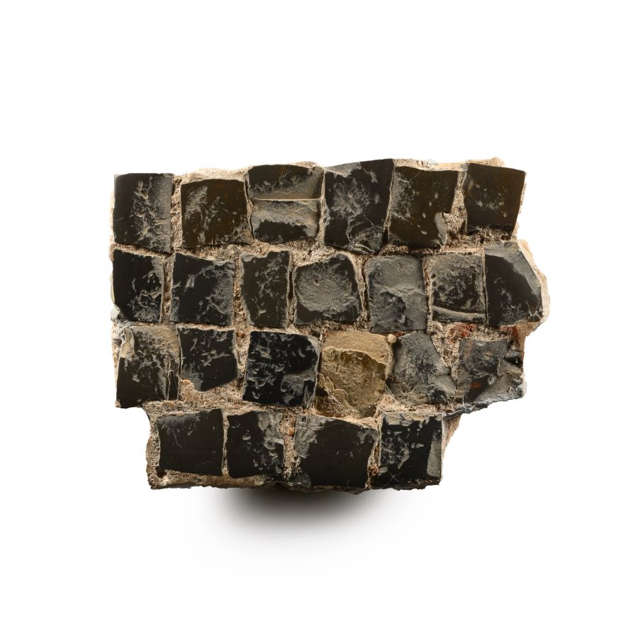 Roman Floor Mosaic Section