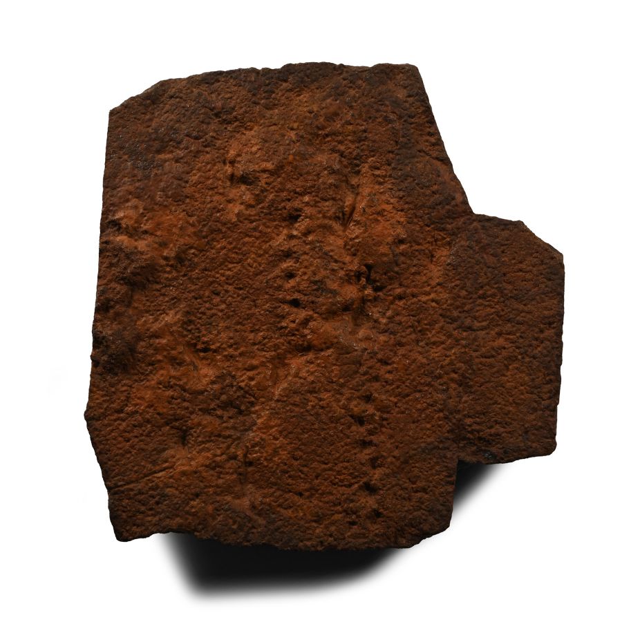 Mesoproterozoic 'String of Beads' Fossil