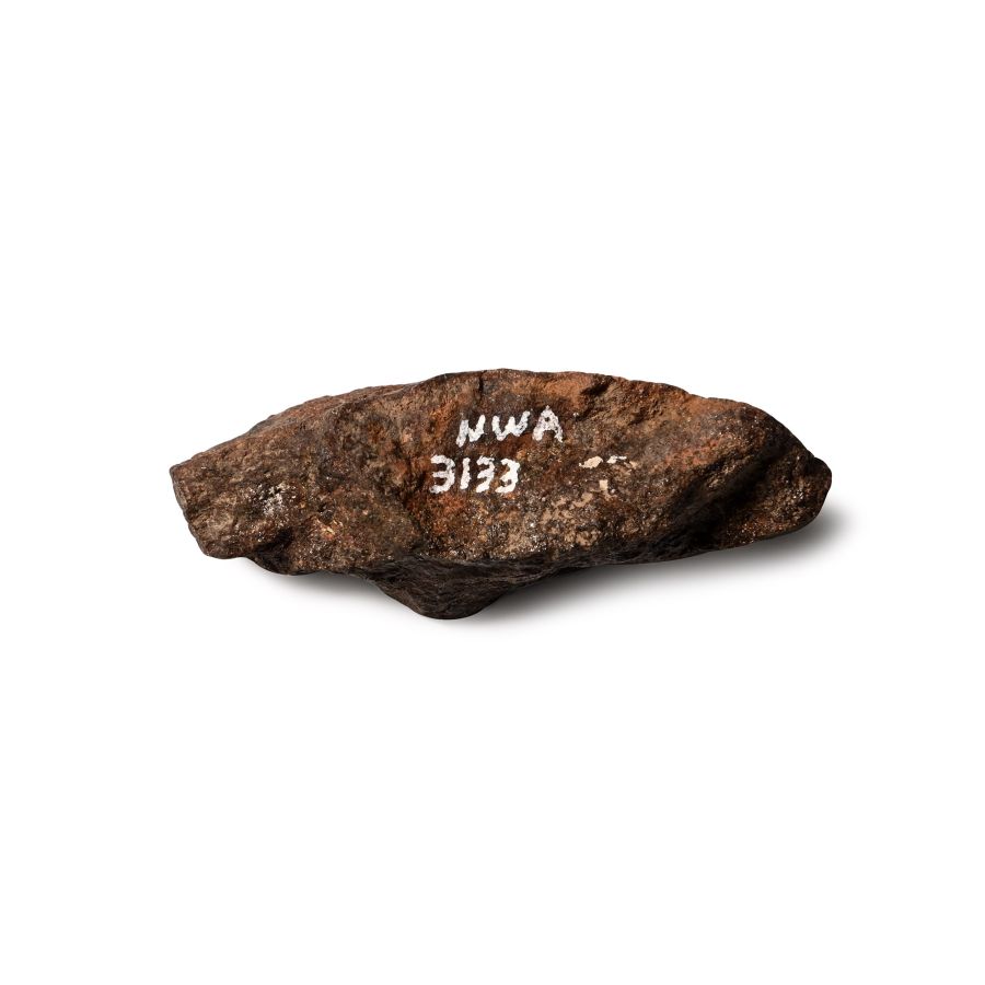 NWA 3133 Carbonaceous CV7 Chondrite Meteorite
