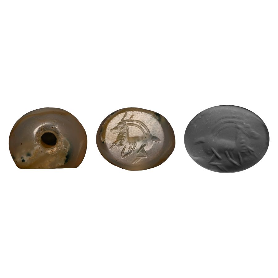 Sasanian Chalcedony Stamp Seal with an Ibex