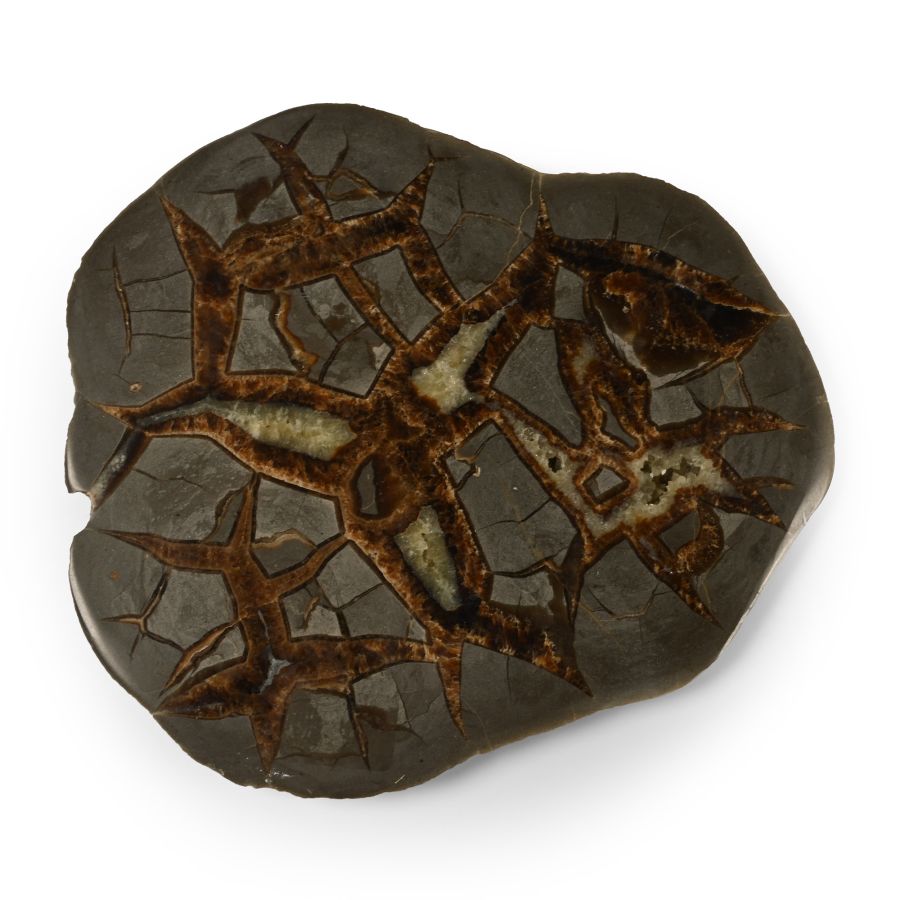 Cut and Polished Septarian Nodule Slice