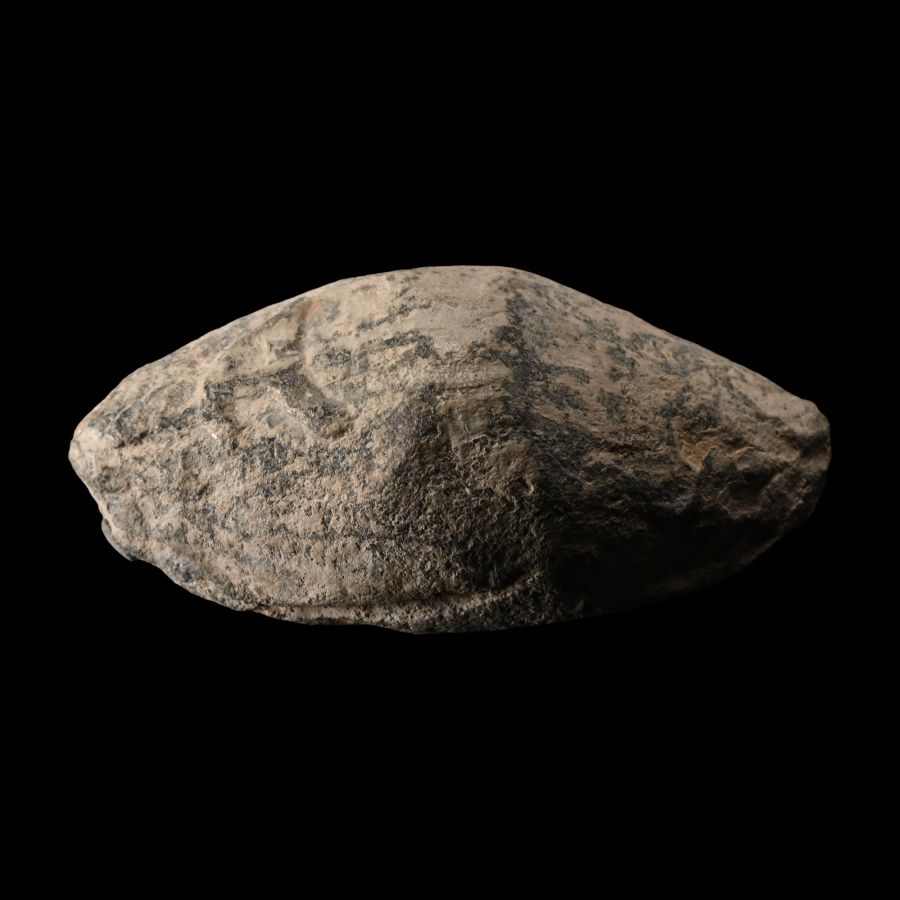 Roman Julius Caesar 'Battle of Munda' Lead Slingshot