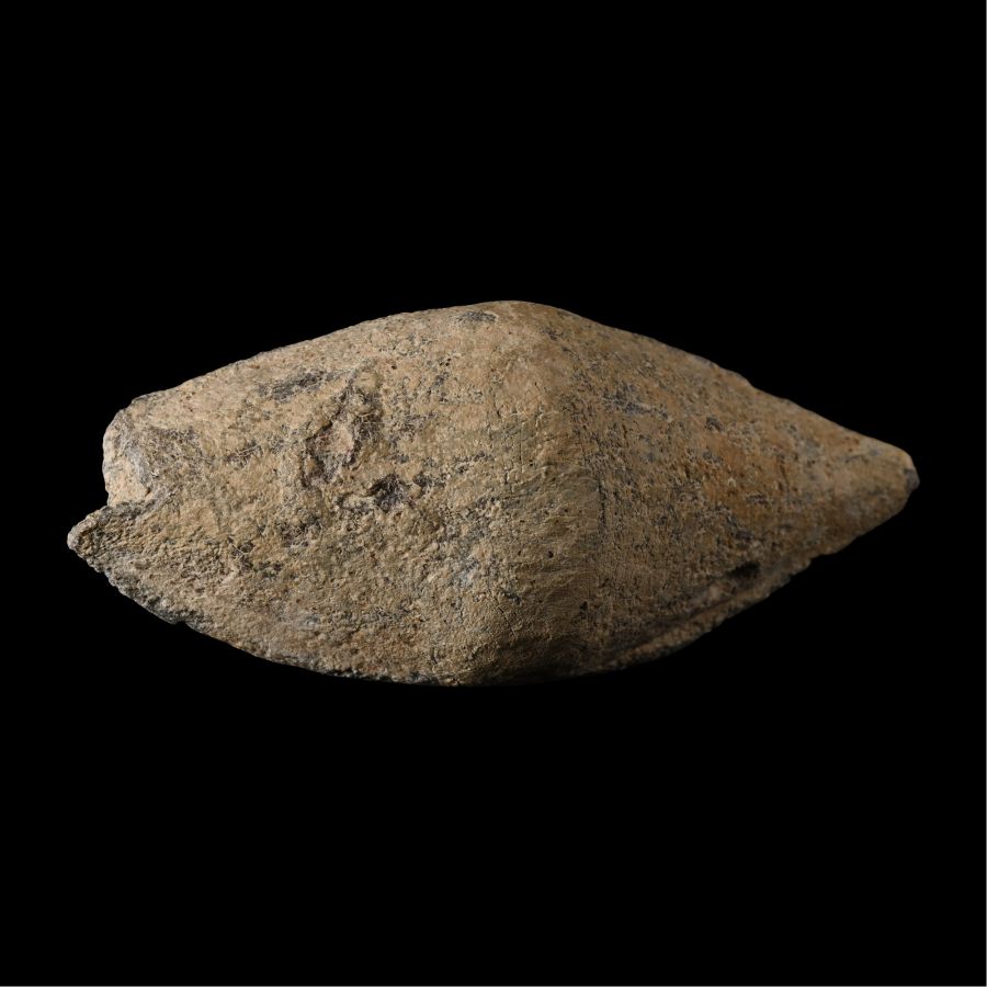 Roman Julius Caesar 'Battle of Munda' Lead Slingshot
