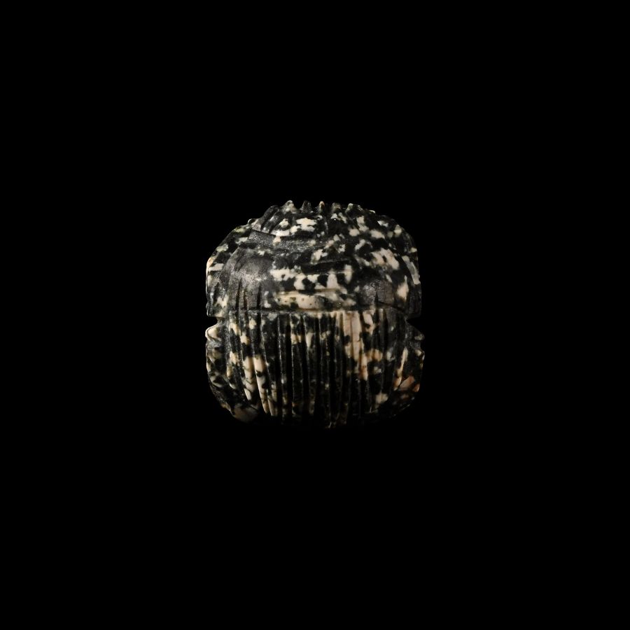Egyptian Diorite Stone Scarab