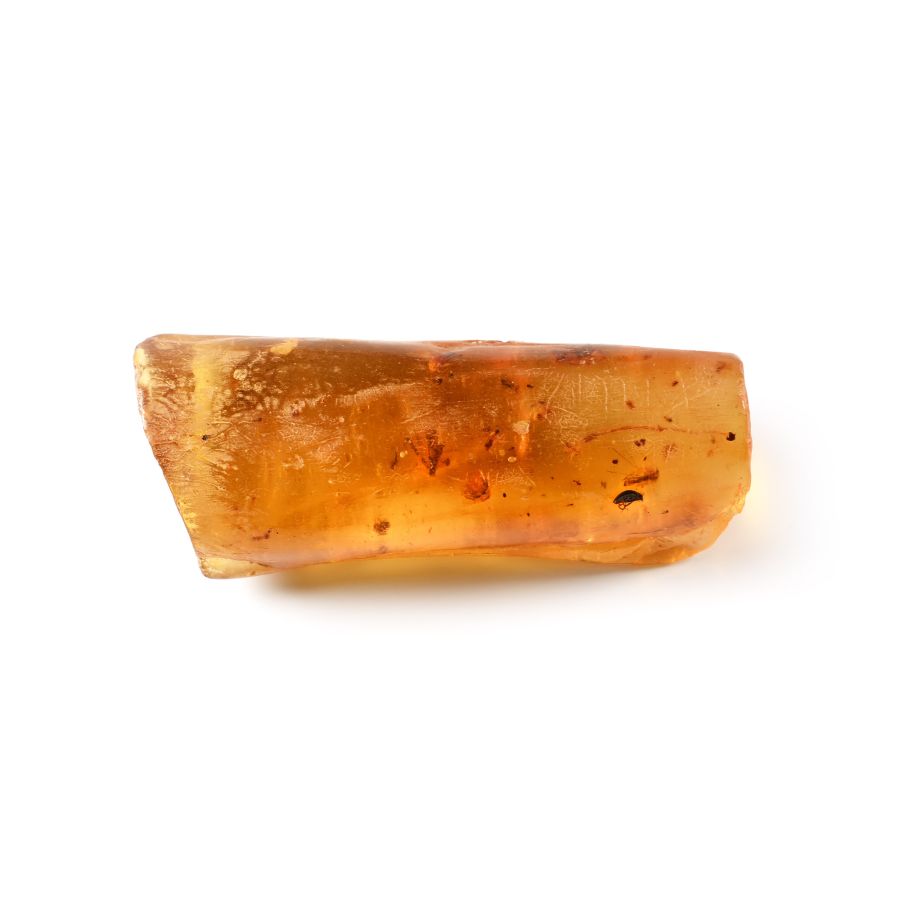 Polished Copal Specimen with Spiders and Flies