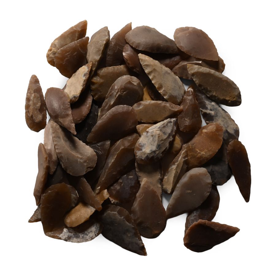 Stone Age Leaf-Shaped Arrowhead Collection