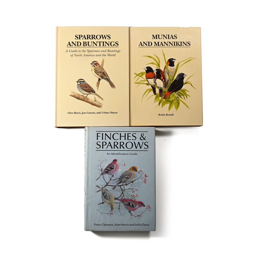 Bird Identification Guides: Sparrows, Buntings, Munias, Mannikins, Finches & Sparrows - 3 Titles