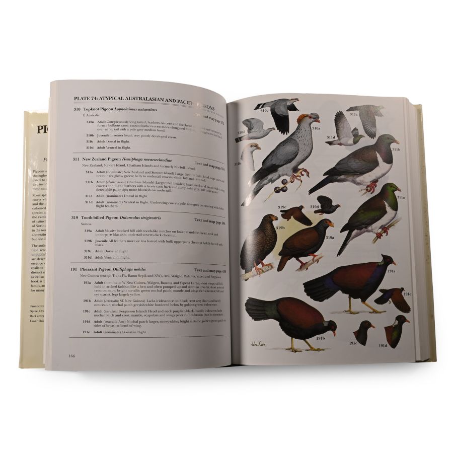 Pigeons and Doves: A Guide to the Pigeons and Doves of the World