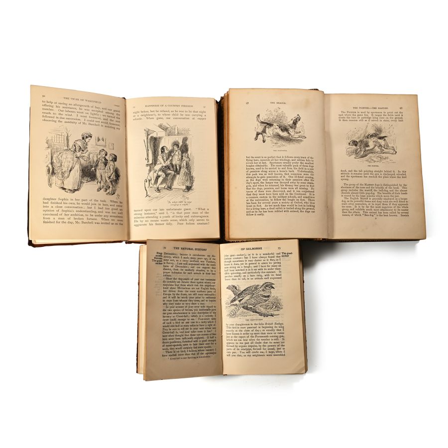 Books on Natural History - 3 Titles