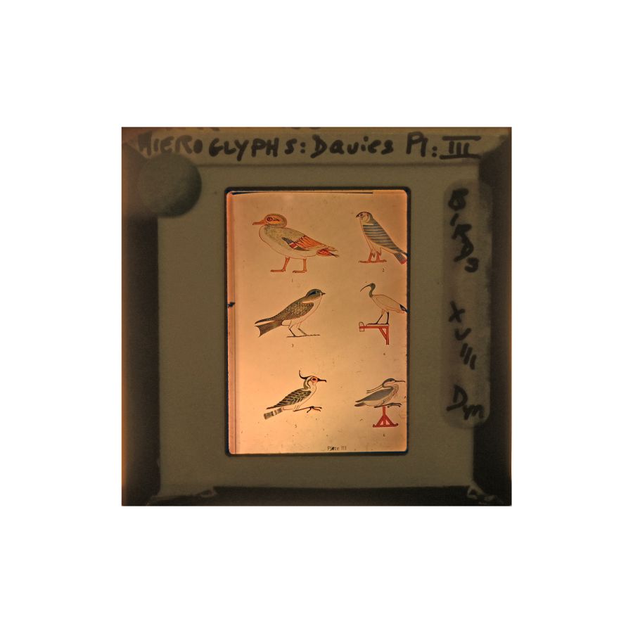 Historic Collection of 601 Slides of Archaeological Objects From Egypt