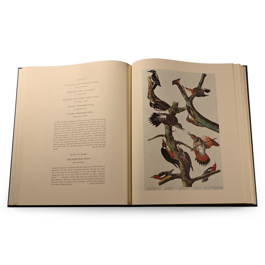 The Original Watercolor Paintings by John James Audubon for The Birds of America - 2 Volumes