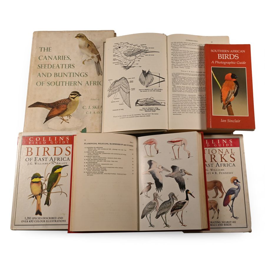Books on Birds of Africa - 6 Titles
