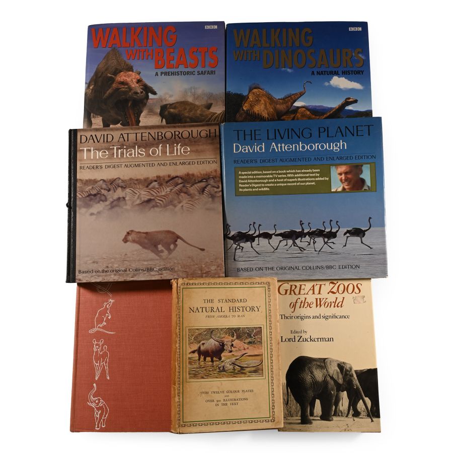 Books on Mammals and Dinosaurs - 7 Titles