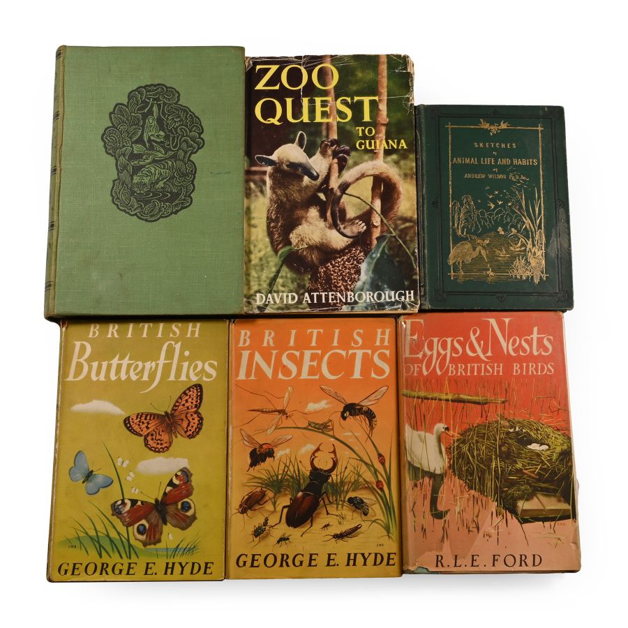 Books on Animals, Birds, Insects and Other Wildlife - 6 Titles