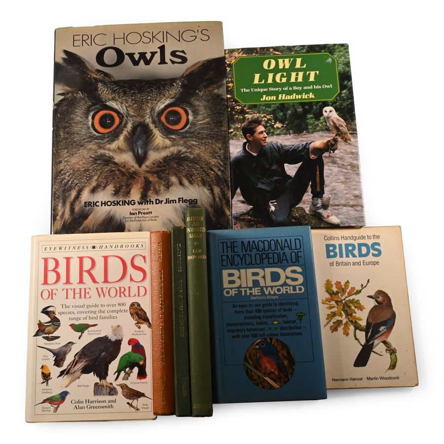 Books on Birds - 8 Titles